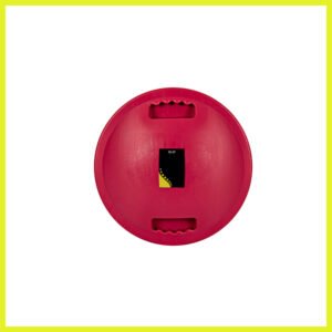 Wooble Board